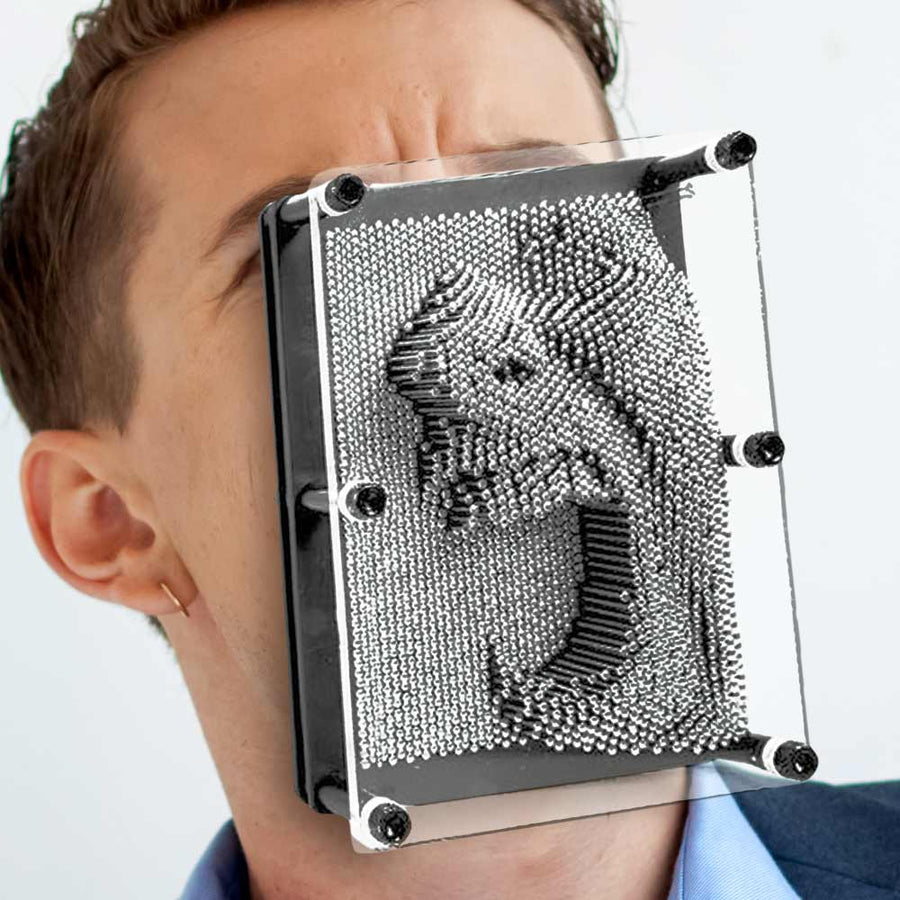 obraz-pin-art-xxl